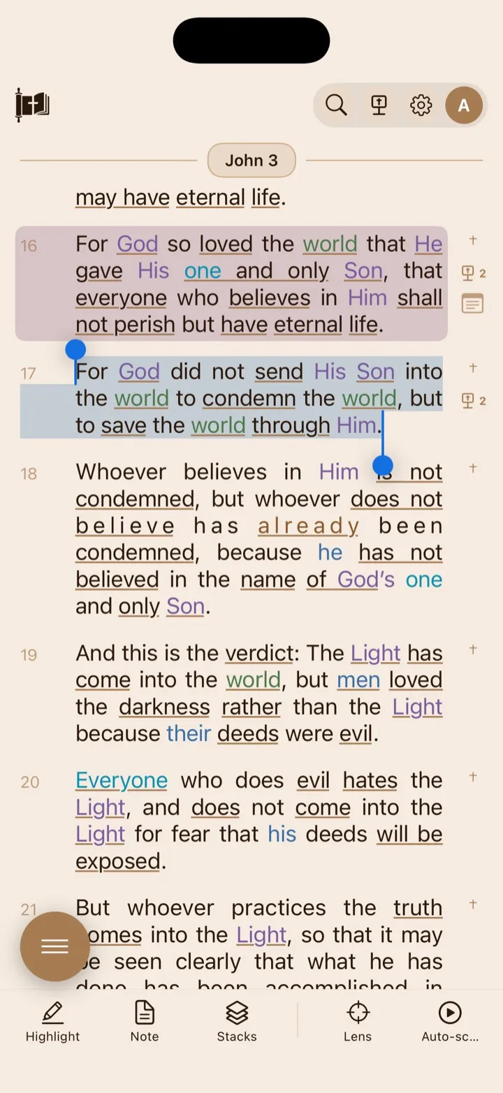 A selected verse in the Reader with selection-aware study tools.