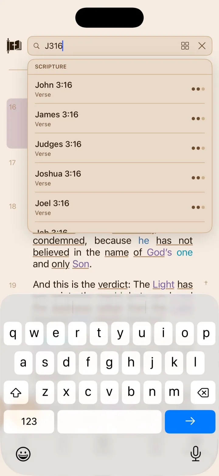 Search results for the shorthand J316 with John 3 shown first.