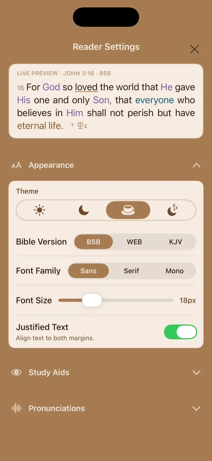 Reader Settings showing theme, Bible version, font, size, and text alignment controls.