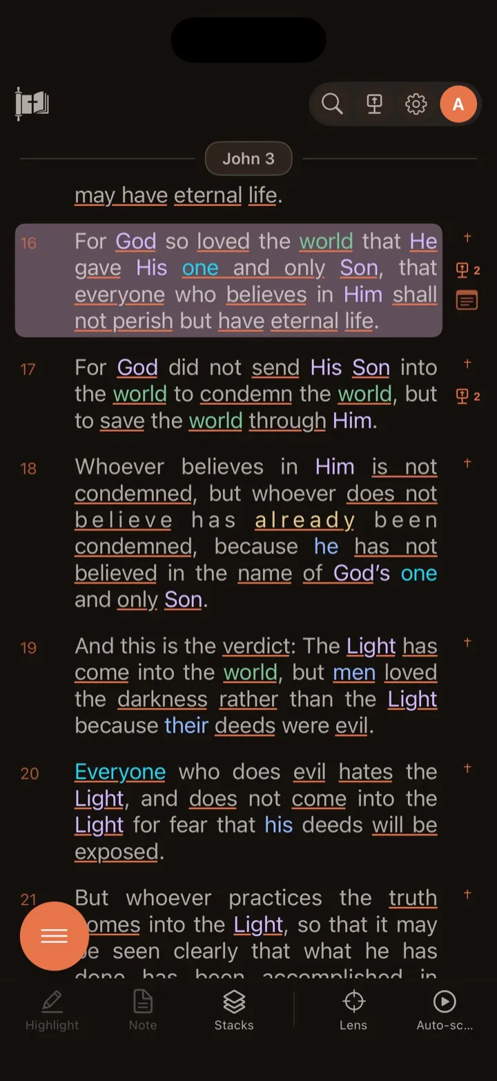The same John 3 passage displayed in the Bedtime theme.