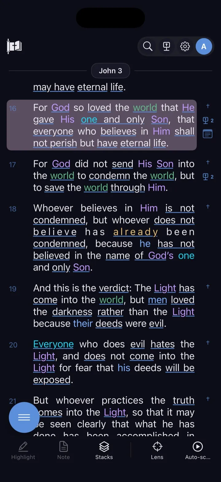 John 3 displayed in the Dark theme.