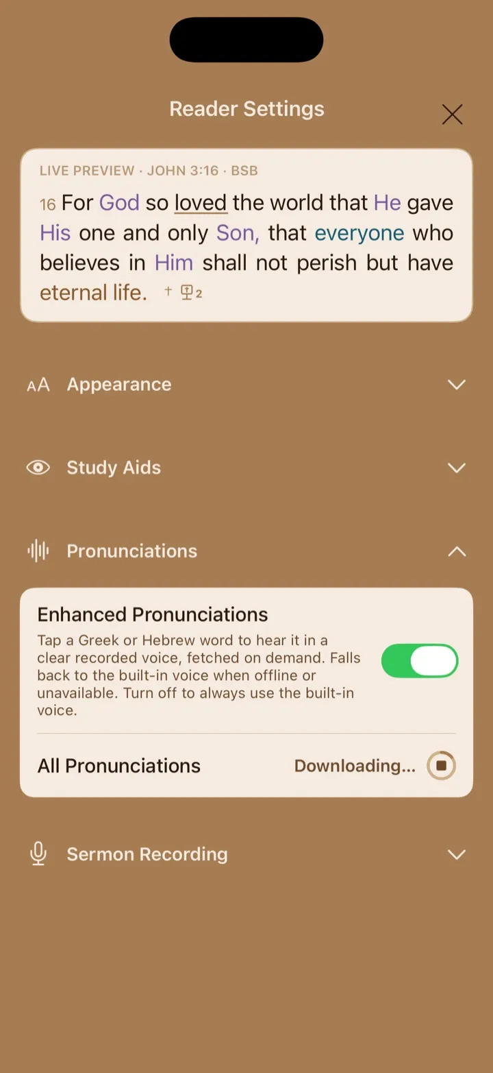 The All Pronunciations control during an active download with progress shown.