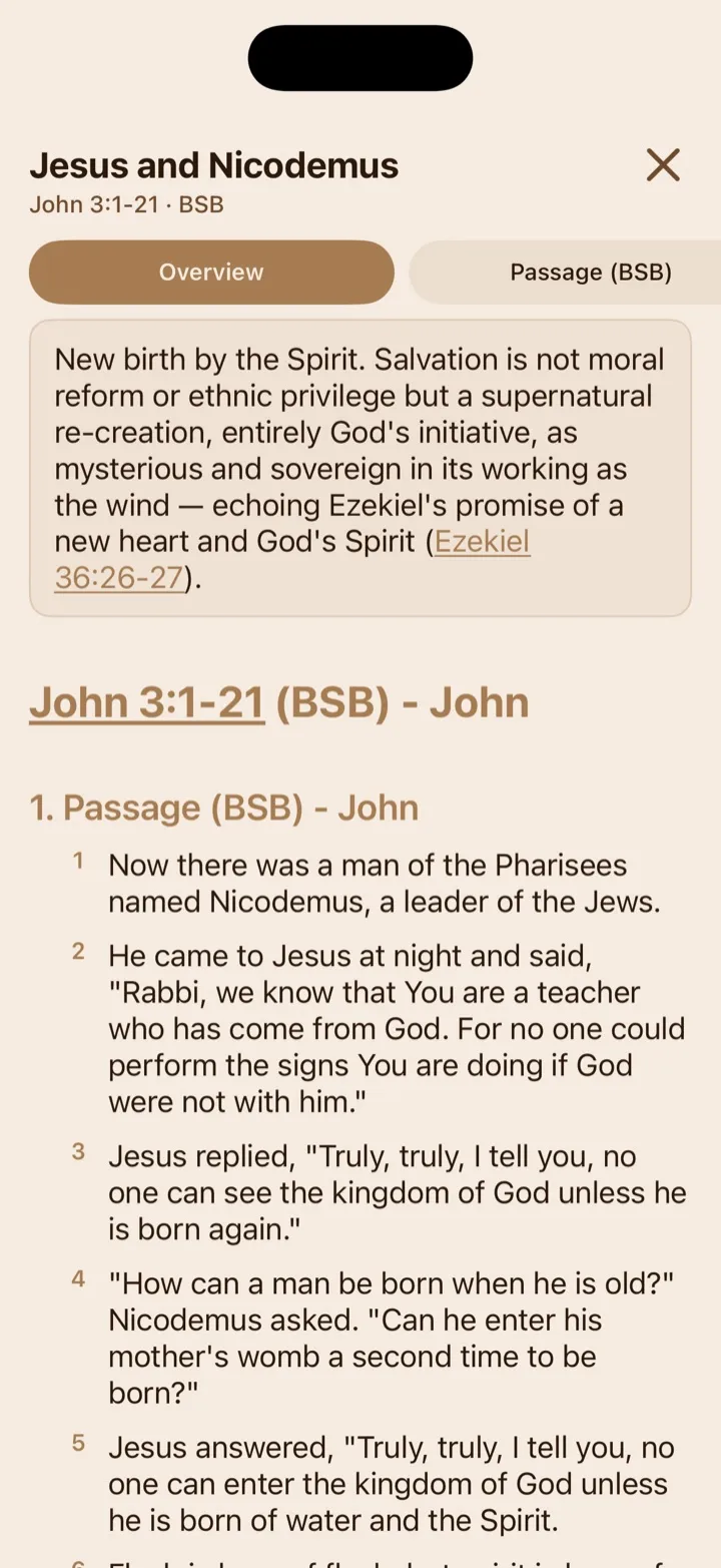 An AI Study overview for Jesus and Nicodemus.