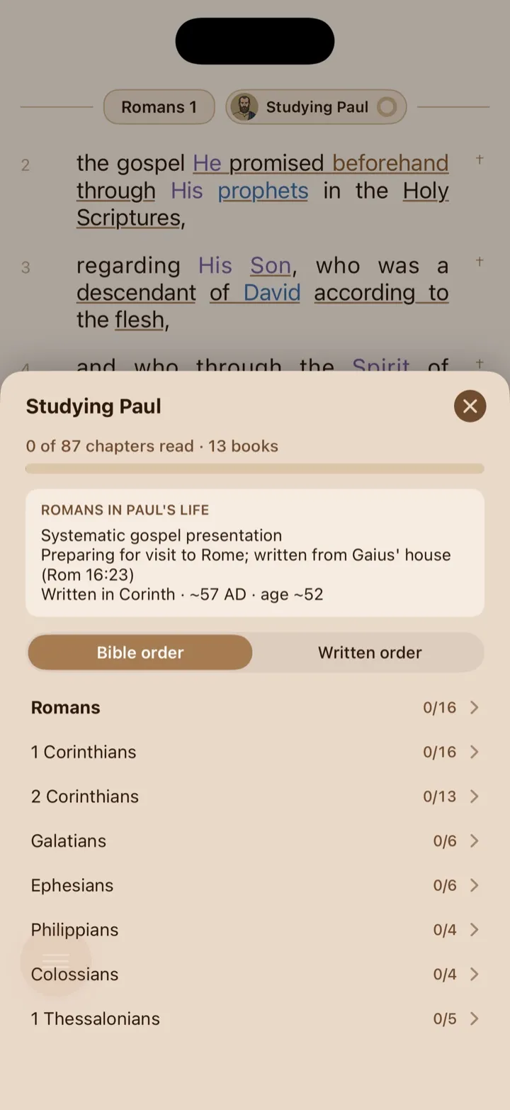 The Studying Paul panel open while reading Romans.