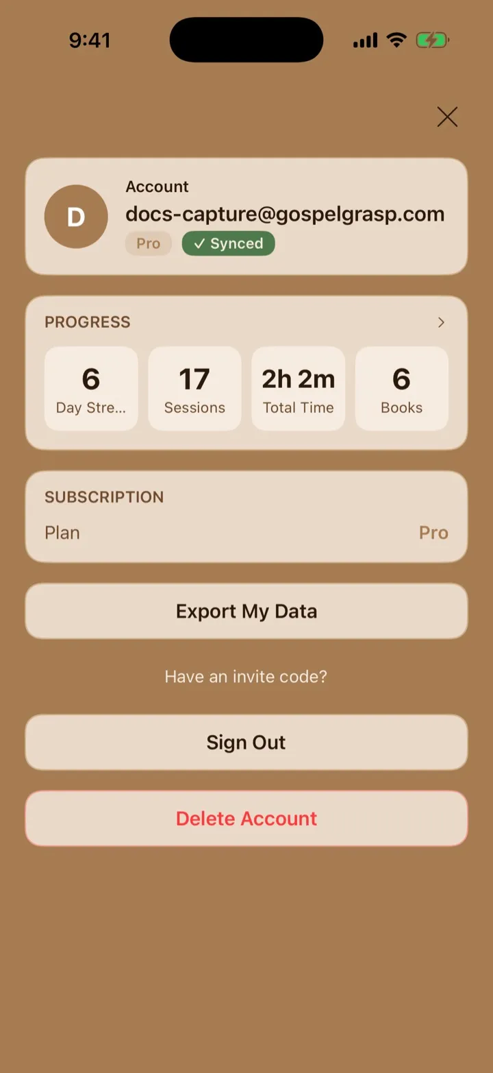 The Account panel with identity, sync status, progress, plan, and account actions.